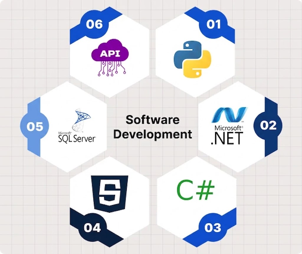 Custom software development services